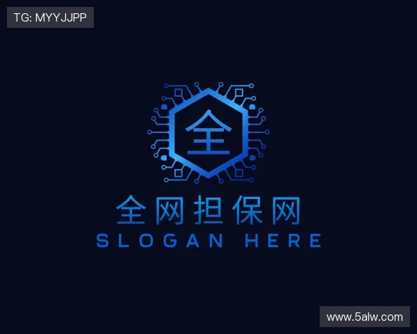 认识全网担保网